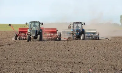 Свыше 932 тысяч га запланировано в Орловской области под яровой сев