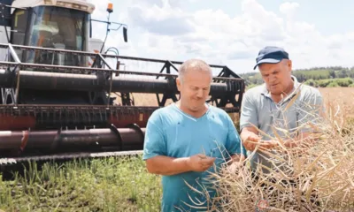 Земледельцы Орловщины даже в тяжёлых погодных условиях уже собрали более 3 млн тонн зерновых и зернобобовых культур