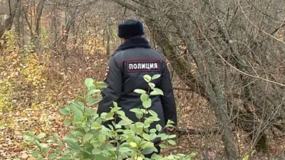 Полицейские нашли заблудившуюся в лесу орловчанку
