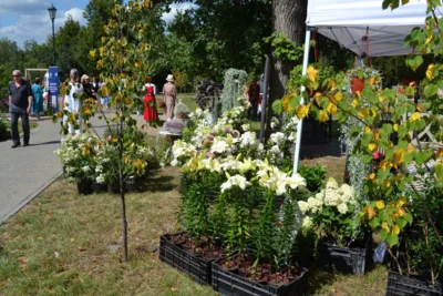 «Крылья любви»