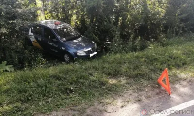 В Орловской области пьяный водитель на Renault Logan вылетел в кювет