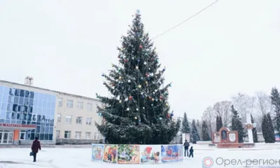 В Мценске мужчина украл украшения с городской ёлки