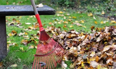 Завтра в Орле пройдёт общегородской субботник