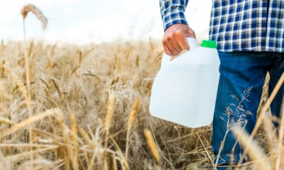 Орловское предприятие превышало дозировку химикатов при обработке пшеницы и рапса