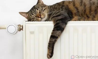 В Орловской области отопительный сезон 2021-2022 прошёл без происшествий