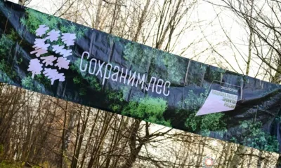 Школьные лесничества за год высадили на территории Орловщины почти 100 деревьев