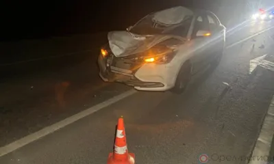 На трассе под Орлом сбили 19-летнего парня