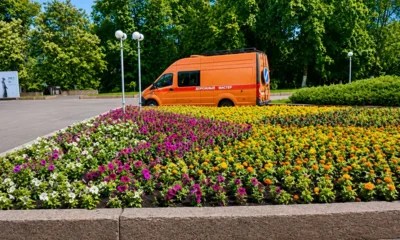 На городских клумбах Орла высадили более 6 тысяч летних цветов