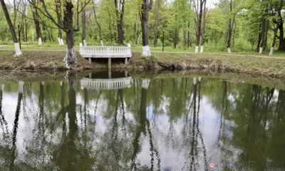 8 июля состоится торжественное открытие парка Шеншиных в Мценском районе