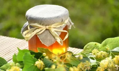 Орловский фермер представил мёд на гастрофестивале «Вкусы России»