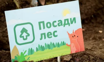 В деревне Образцово Орловского МО в рамках акции «Посади лес» высадили молодые сосны