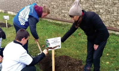 В Ливнах высадили деревья в память о погибших героях СВО