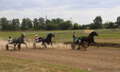 В Орле прошёл федеральный этап Кубка России для лошадей рысистых пород
