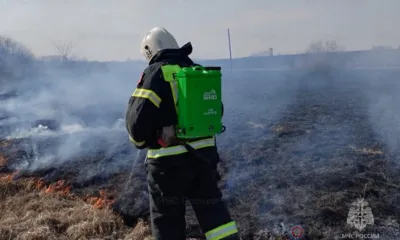 В Орловской области массово жгут сухую траву