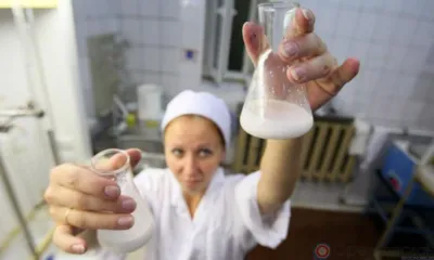 Творог с «мясным клеем»: Чем кормят детей в орловских школах?