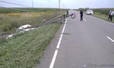 В Шаблыкинском районе водитель Нивы снёс опору линии электропередач