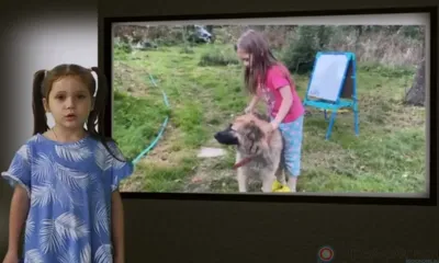 «Экология - дело каждого»