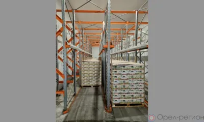 Орловщина с начала года отправила более 202 тонн огурцов в Польшу