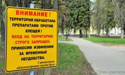 В Орле общественные территории обработают от клещей