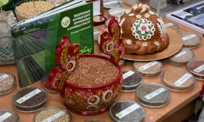 Орловские аграрии обеспечены всеми необходимыми ресурсами для проведения весенних полевых работ