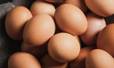 Непроверенные яйца поставили в Ливенскую районную больницу