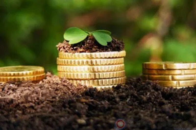 Миллиардная поддержка