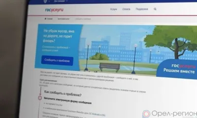 За декабрь 2024 года орловцы направили более 1,4 тыс. обращений через Госуслуги