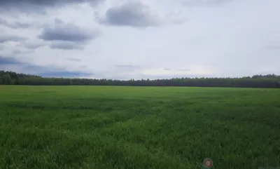 На Орловщине сохраняется вероятность заморозков