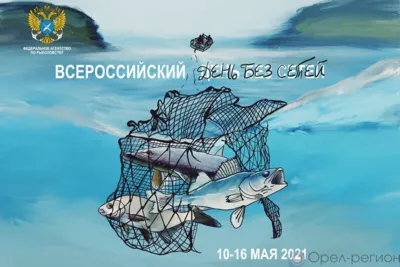 Орловцев пригласили на очистку Оки от бесхозных сетных орудий лова