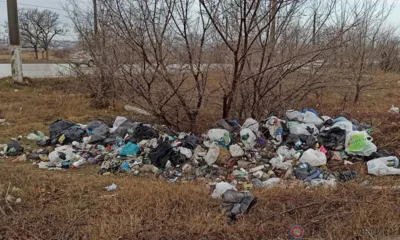 В Должанском районе убрали несанкционированную свалку