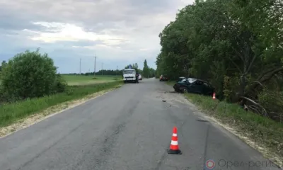 Орловец без прав на ВАЗ-21099 вылетел в кювет и врезался в дерево