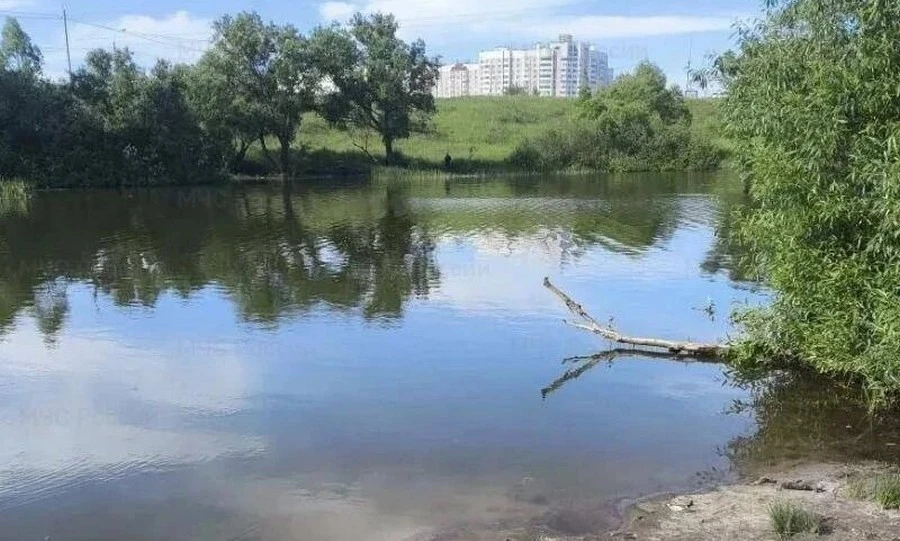 В Орле в пруду утонул мужчина