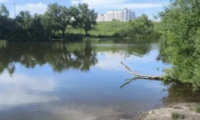 В Орле в пруду утонул мужчина