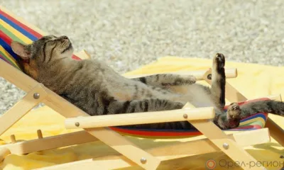 Первые дни осени на Орловщине будут жаркими