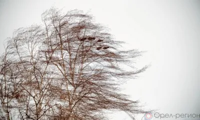 На Орловщину снова надвигается штормовой ветер