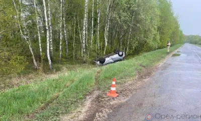 В Мценском районе легковушка врезалась в дерево и перевернулась
