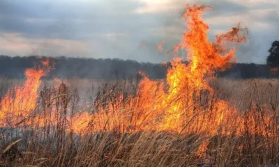 МЧС призывает орловцев соблюдать требования пожарной безопасности и в быту и на природе