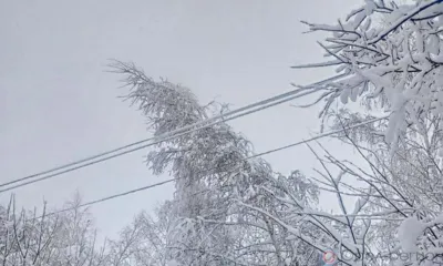 Орловские энергетики восстанавливают нарушенное бураном электроснабжение