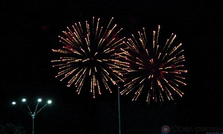 В правительстве напомнили о запрете использования пиротехники на Орловщине