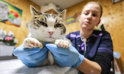 Итоги недели...