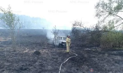 В Ливенском районе огонь охватил автомобиль и сухую траву