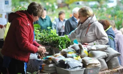 2 апреля в Орле откроется ярмарка для садоводов
