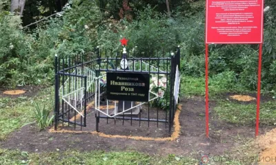 «Если я не вернусь…»