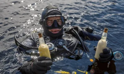 Орловские дайверы отыскали на затонувшем пароходе 10 бутылок молока и серебряную ложку