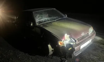 На трассе под Орлом ВАЗ насмерть сбил пешехода