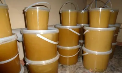 Жителя Орловской области оштрафовали за перевозку партии мёда без документов