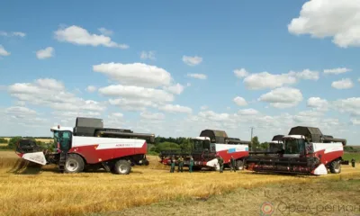 Сегодня в Орле отмечают День работника сельского хозяйства