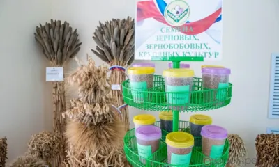 Наука на орловских полях