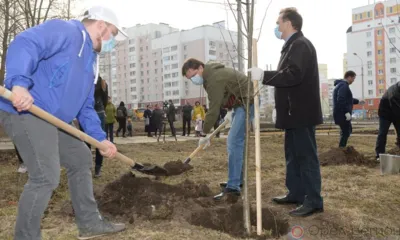 На бульваре Космонавтов в Орле появилась липовая аллея. Фоторепортаж