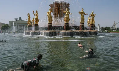 Итоги недели...